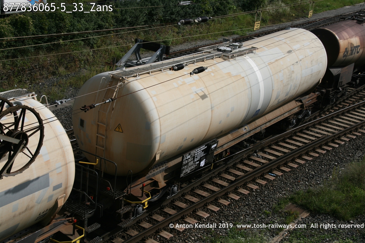 877836065-5_33_Zans.JPG